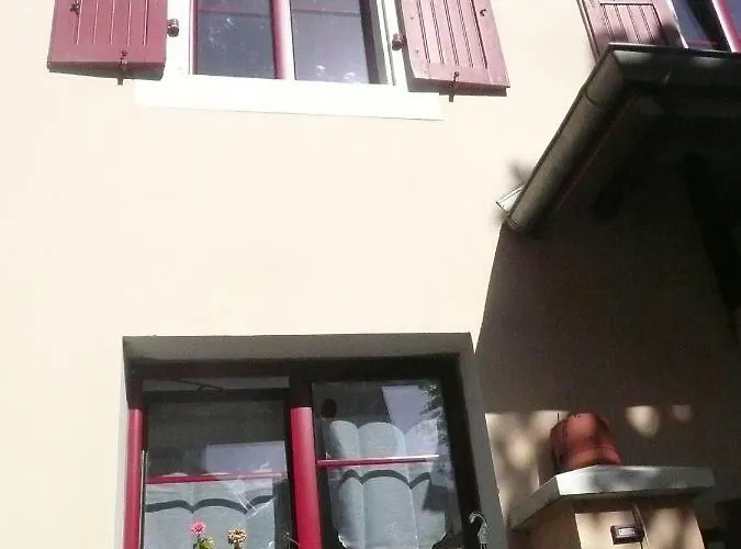 D'ourout 아르젤레가조스트